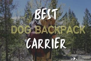 Best Dog Backpack Carrier for Hiking