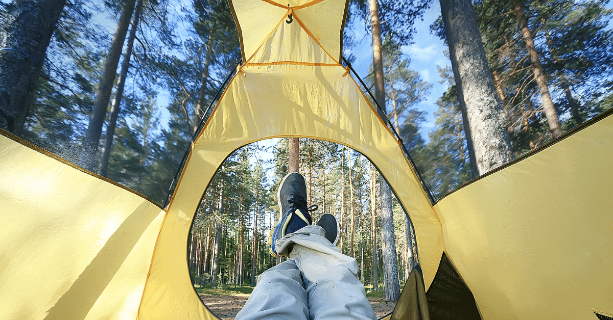 a person inside a tent with mesh walls and roof