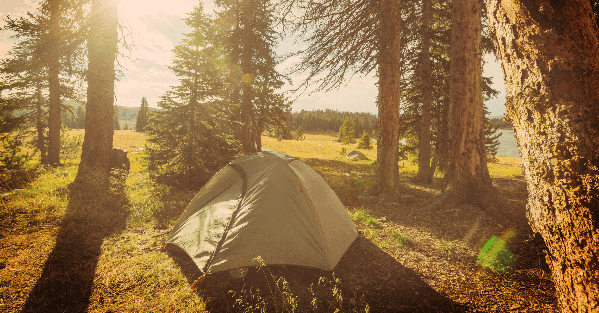 a tent in the forest under the sun