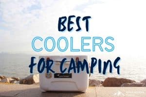 Best Coolers for Camping