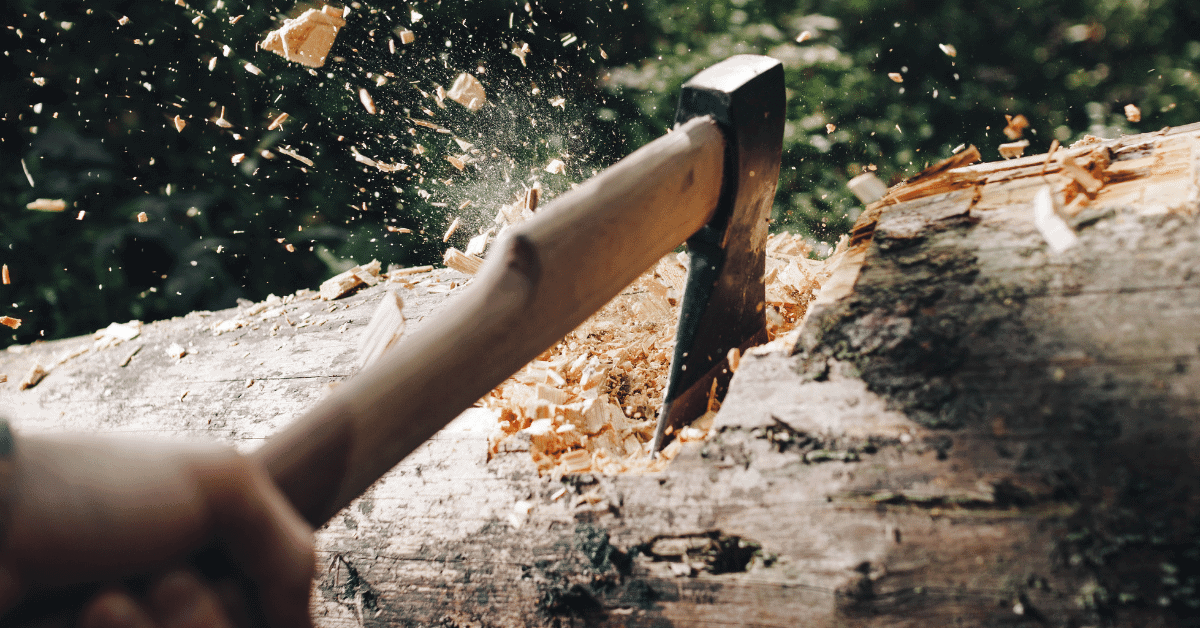 a person striking a tree trunk with an axe