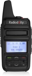 Radioddity GD-73A