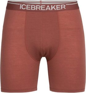 Icebreaker Anatomica Long Boxers - Men