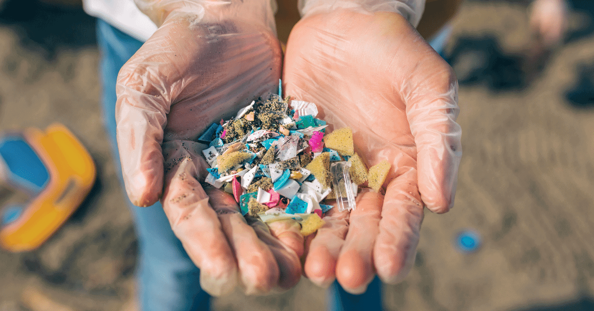 hands in gloves holding pieces of plastic from the ocean