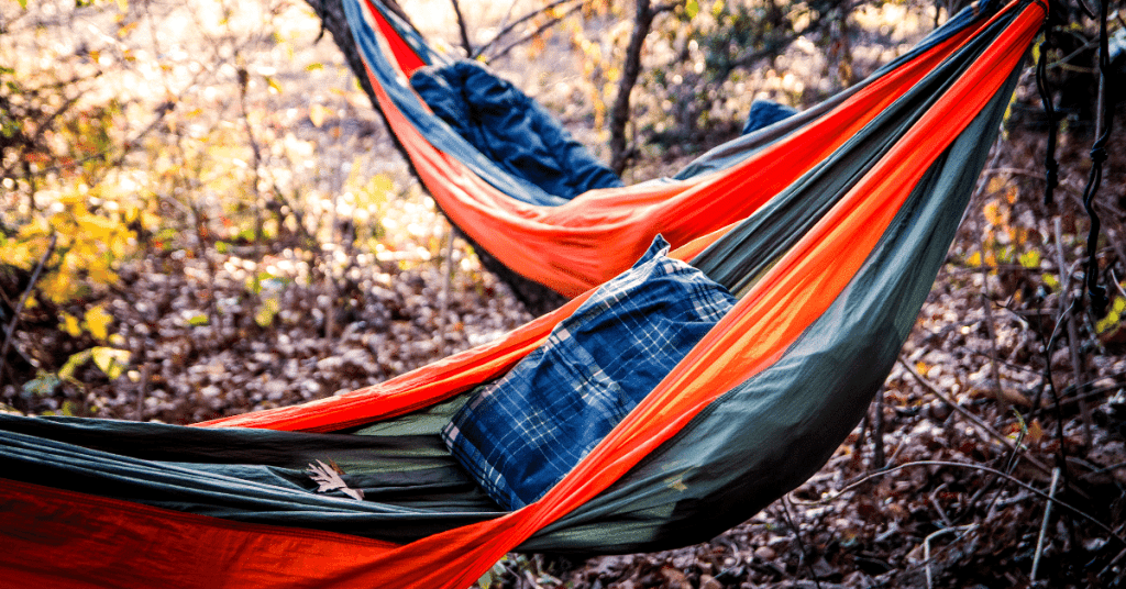 two hammocks hanging from trees