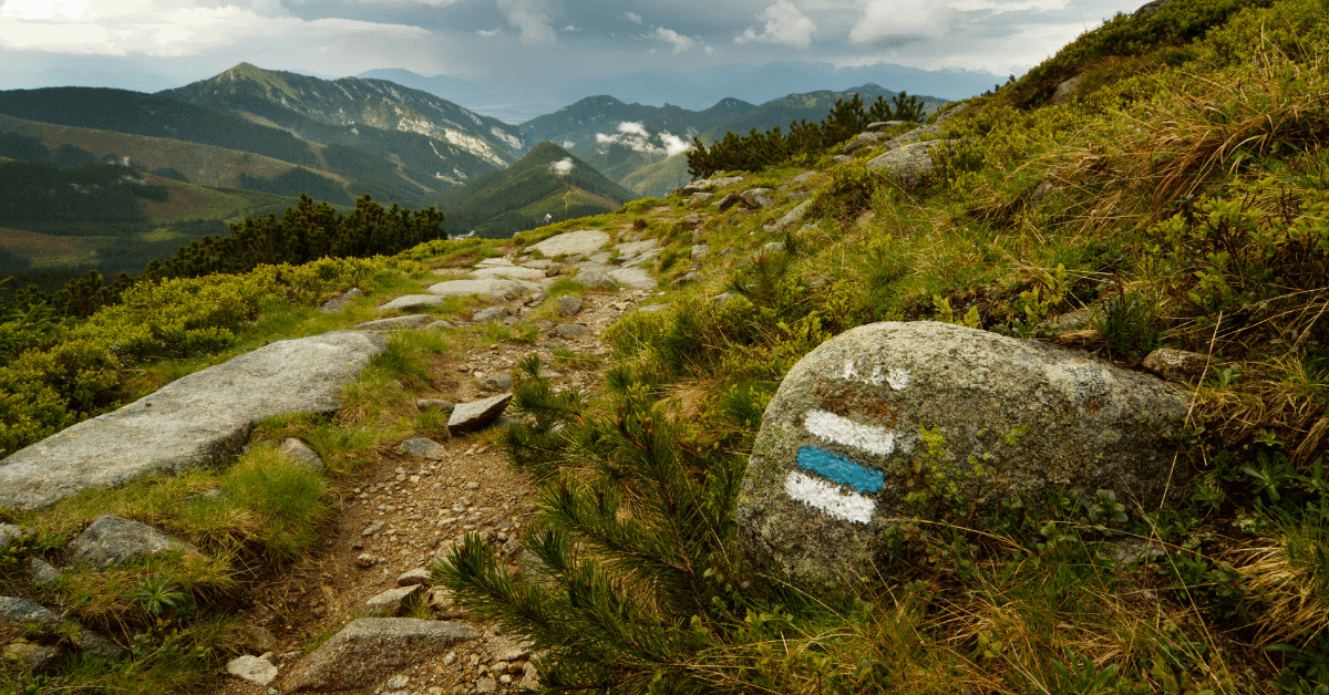 a paint blaze on a rock