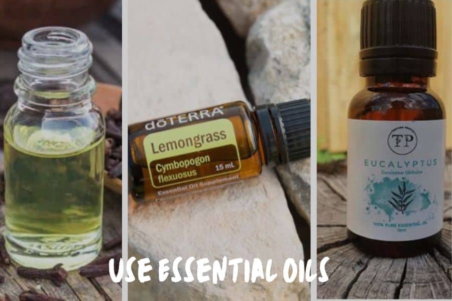 Use Essential Oils