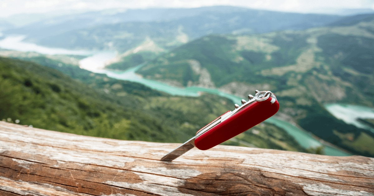 a pocket knife in wood with a scenic mountain background