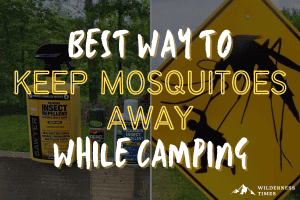 Best Way to Keep Mosquitoes Away While Camping