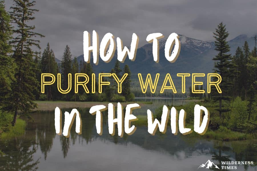 How To Purify Water In The Wild