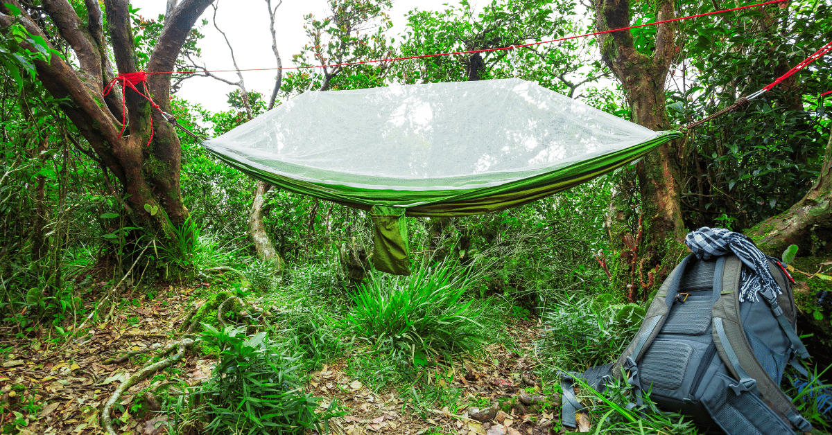 a hammock with a bug net hanging between two trees