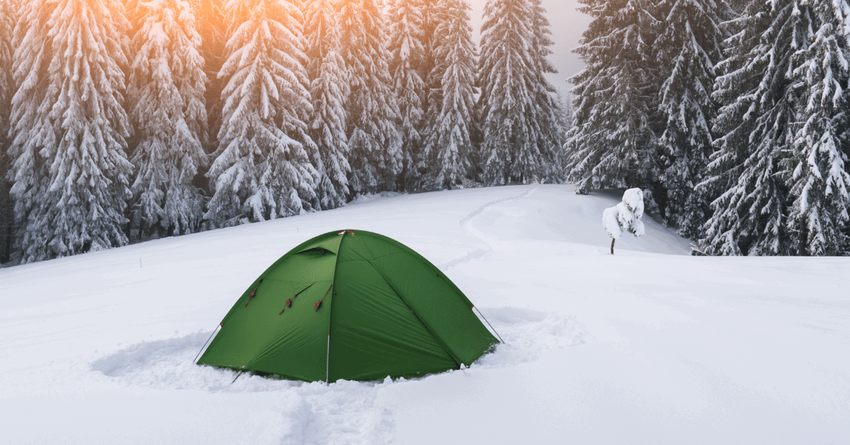 a tent in a snowy forest