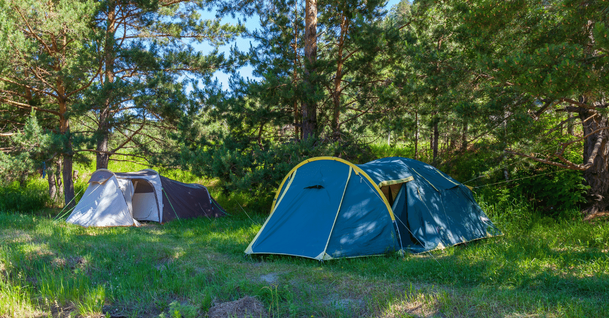 2 tents pitched in a shady spot