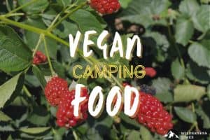 Vegan Camping Food
