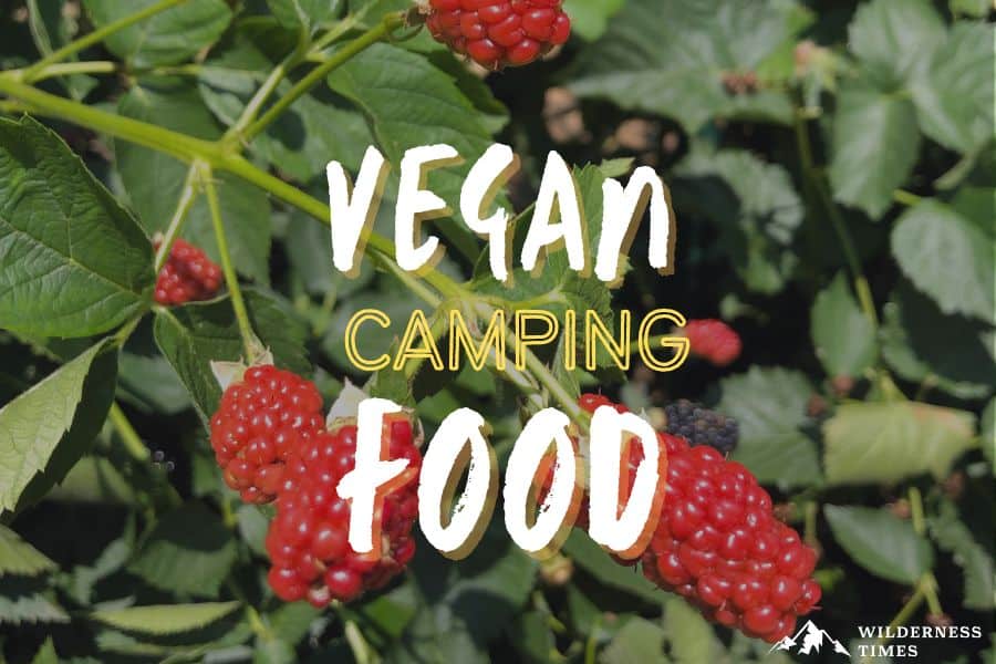 Vegan Camping Food 5 Nifty Tips & 15 Delicious Recipe Ideas