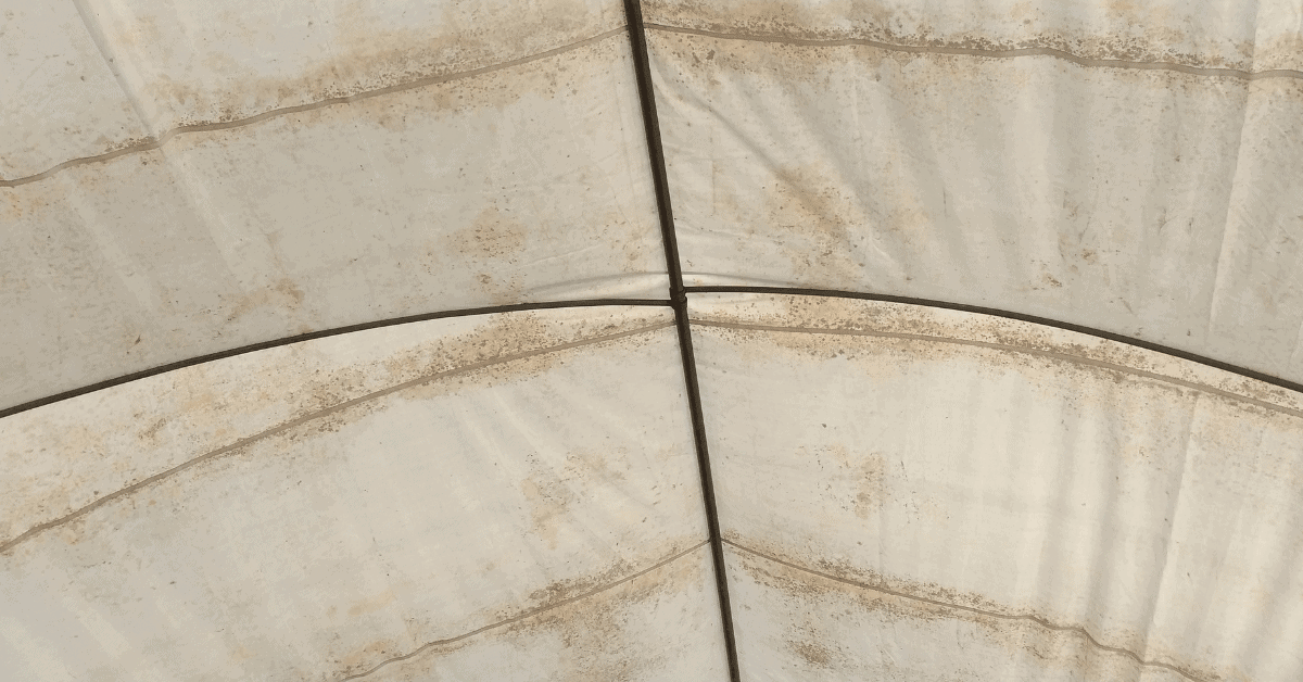 a tent roof with mold