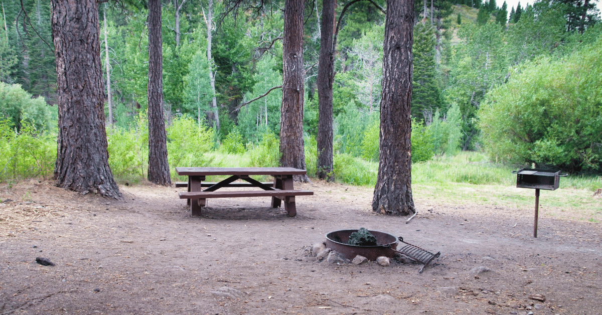 an empty campsite
