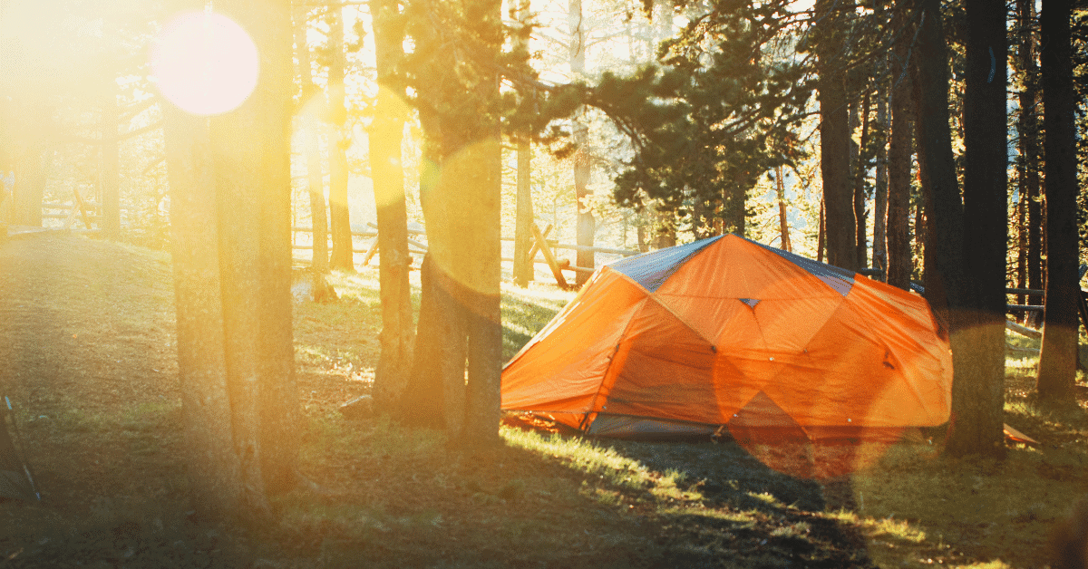 an orange tent in the woods