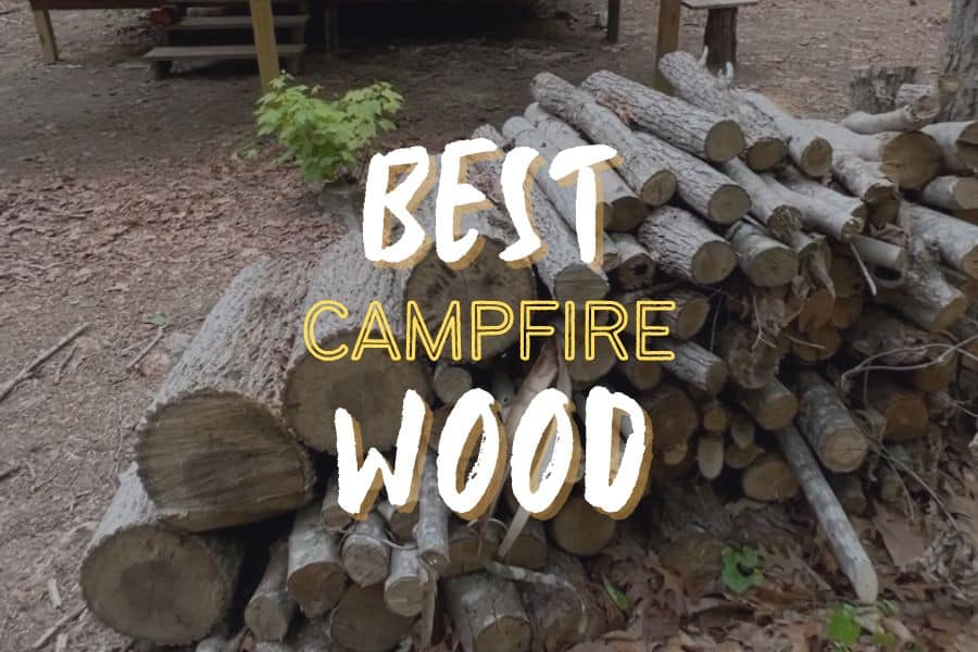 Best Campfire Wood