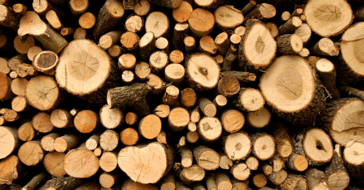 wood logs stacked up on a pile