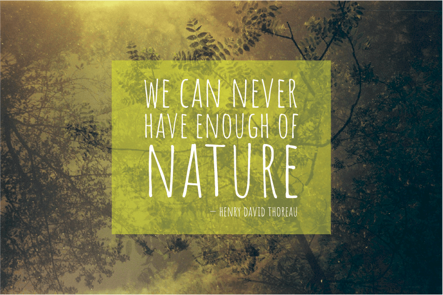 henry david thoreau quote