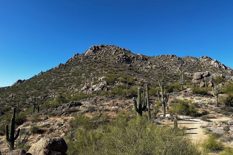 A nice day hike in the McDowell Mountains