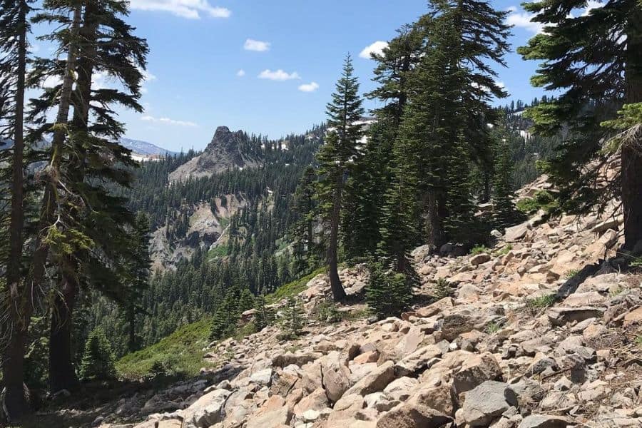 Tahoe Rim Trail (Photo Credit: Justin Hikes)