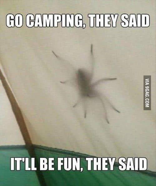 go camping they said itll be fun they said