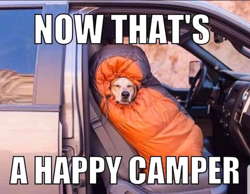 now thats a happy camper