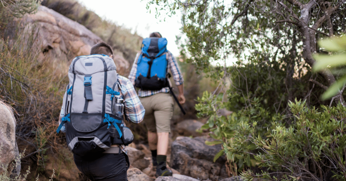 pair of hikers walking along a trail