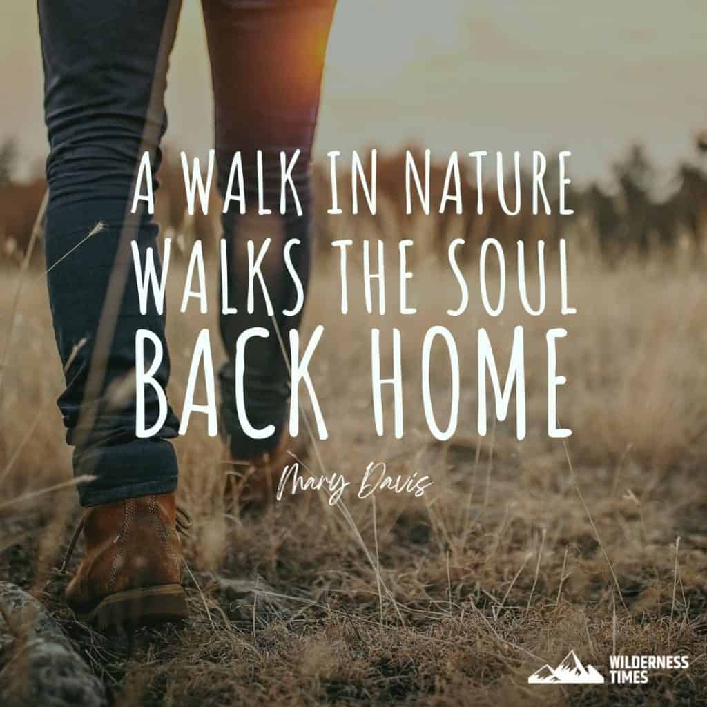 A walk in nature walks the soul back home. – Mary Davis