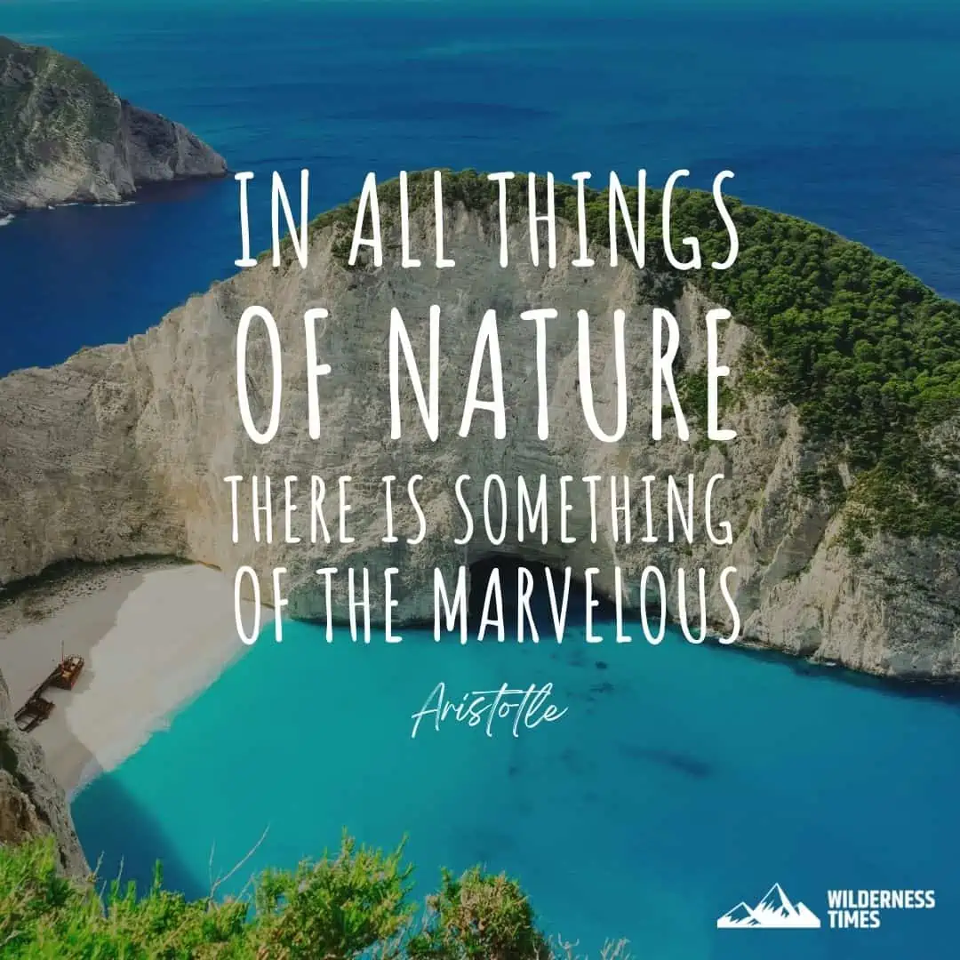 In all things of nature there is something of the marvelous.– Aristotle