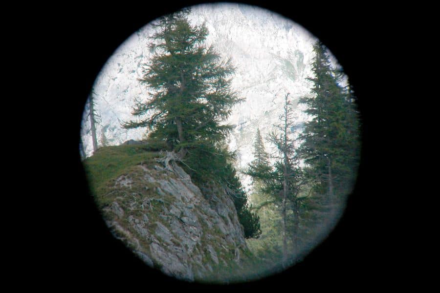 Binoculars Field of View