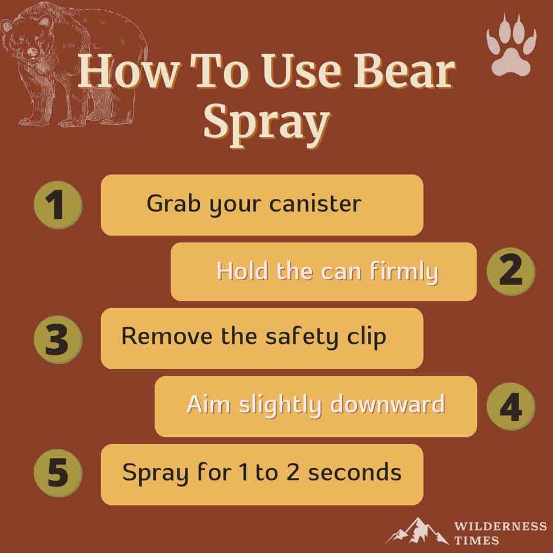 How To Use Bear Spray - Infographic