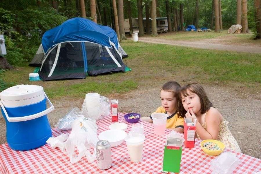 Make Sure to Pack Food Your Toddler will Eat