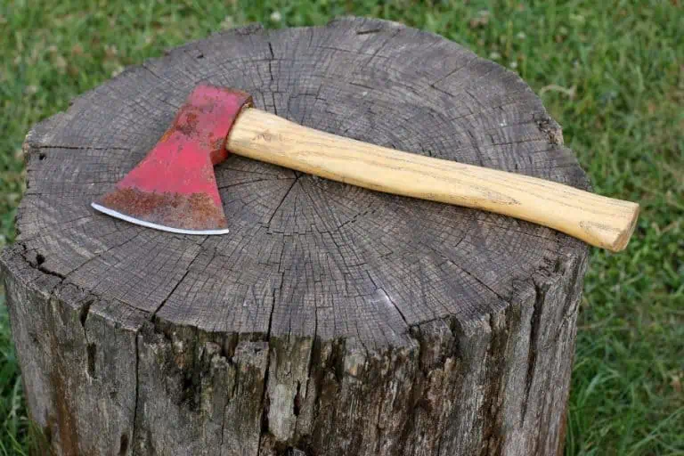 The 9 Best Hatchets for Camping in 2023 (BUYERS GUIDE)