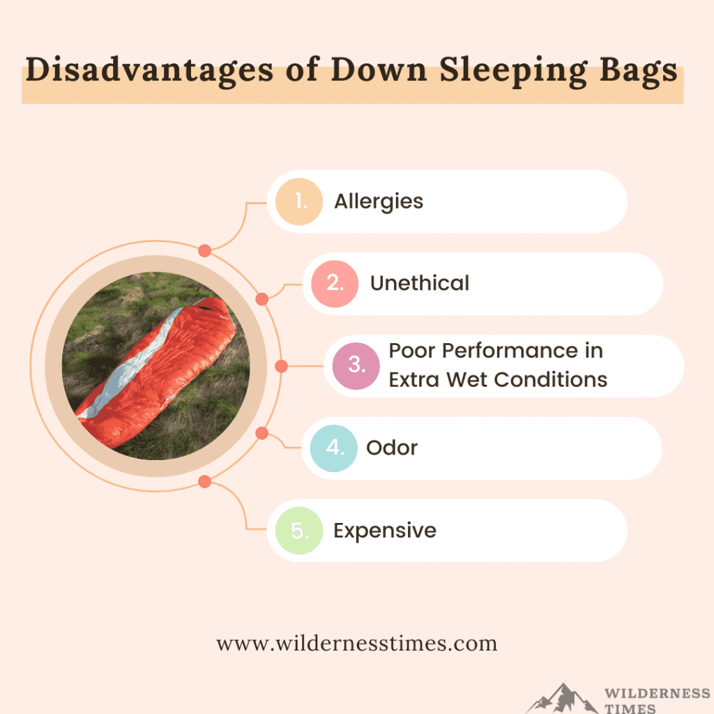 disadvantages of Down Sleeping Bags (1)