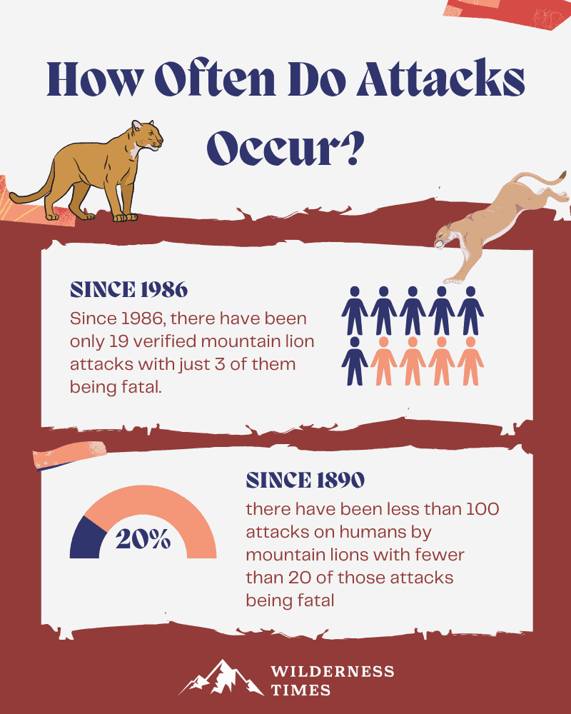 Does Bear Spray Work on Mountain Lions?