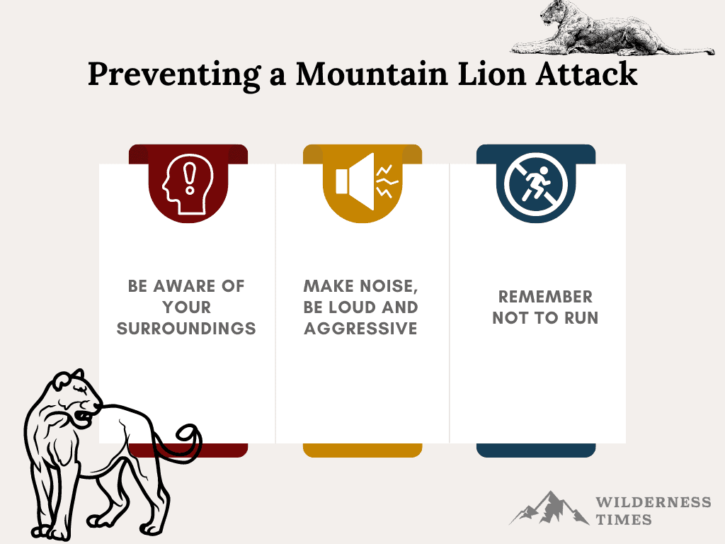 Preventing a Mountain Lion Attack (1)