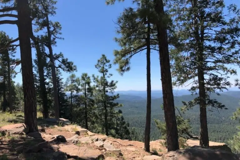 The Views from the Mogollon Rim