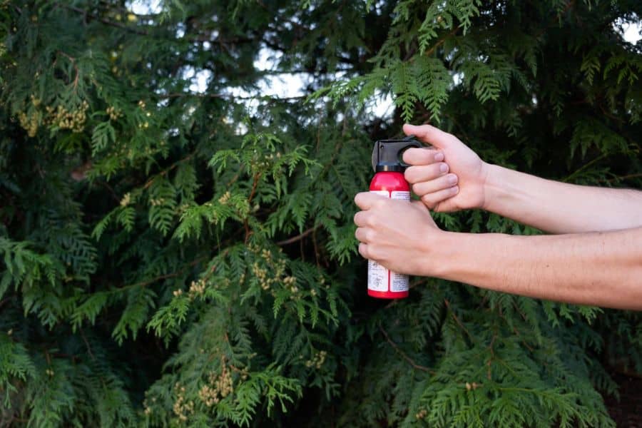 remove the safety clip Does Bear Spray Work on Mountain Lions?