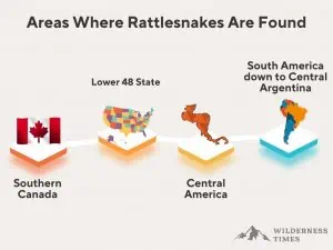 What to do when you see a Rattlesnake while hiking!