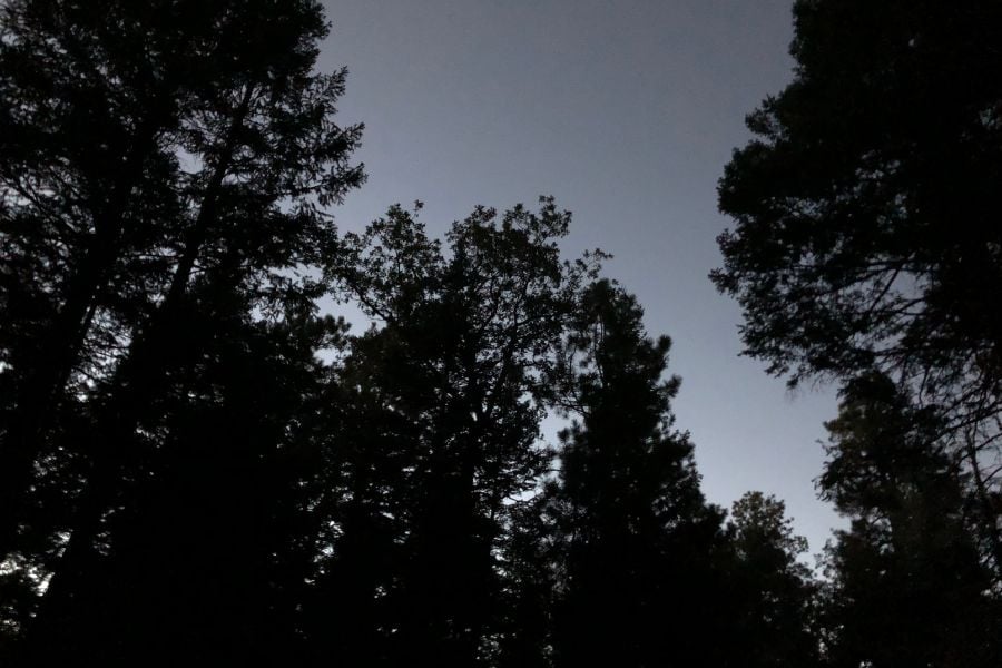 Camping Sky at Night