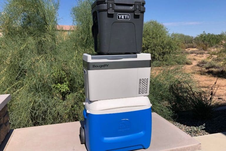 What Size Cooler Do I Need for Camping?