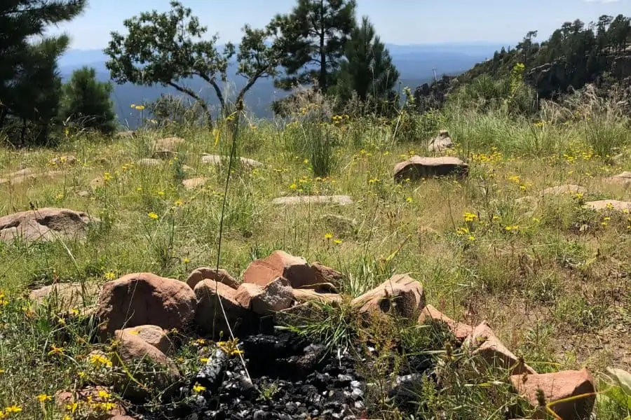 A primitive campsite in the National Forest