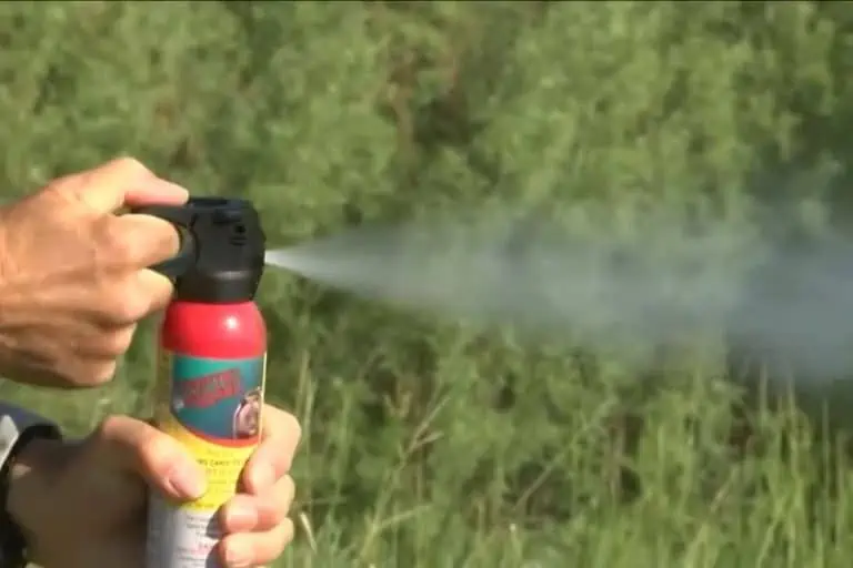 Pepper Spray vs. Bear Spray (Which is Better?)