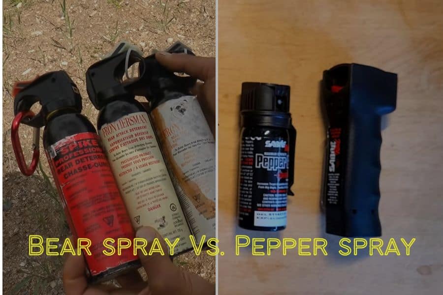 Pepper Spray Vs Bear Spray