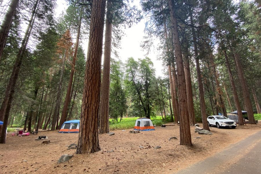 Campgrounds in Kings Canyon National Park