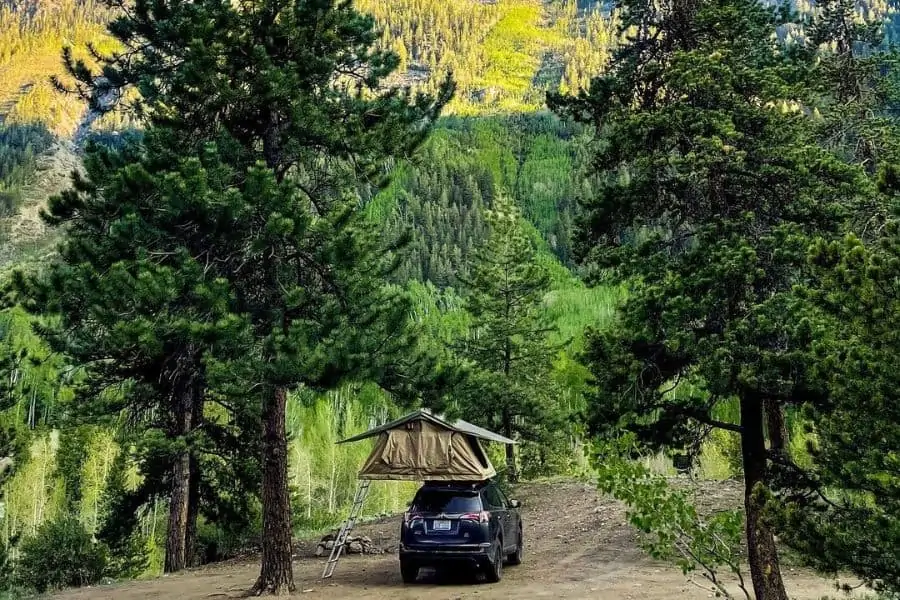 Dispersed camping in the National Forest