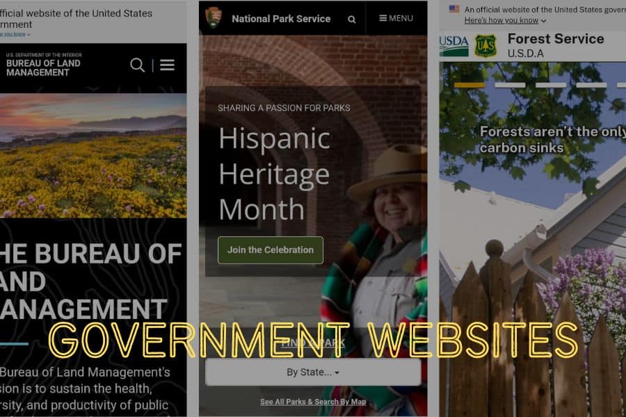 Government websites